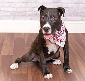 Photo of Blossom