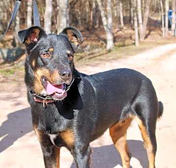 Photo of Clyde