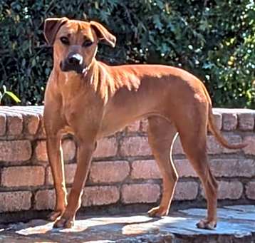 Photo of Moxie