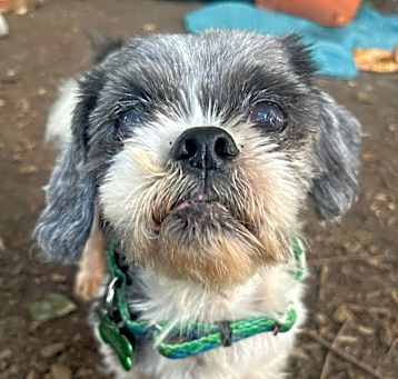 Photo of Hugo