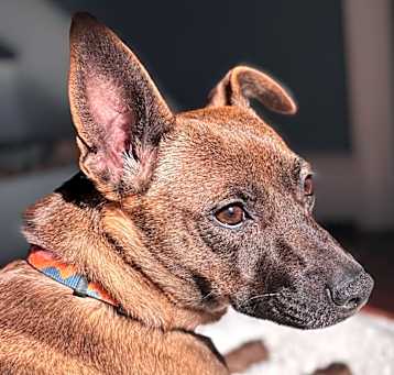 Photo of Lorelai