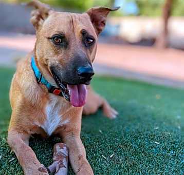 Photo of Murphy