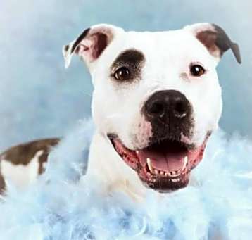 Photo of Penny Jo