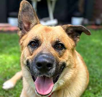 Photo of Axel