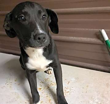 Photo of Wally