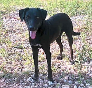 Photo of Ivy