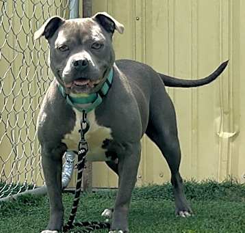 Photo of Nala Grove
