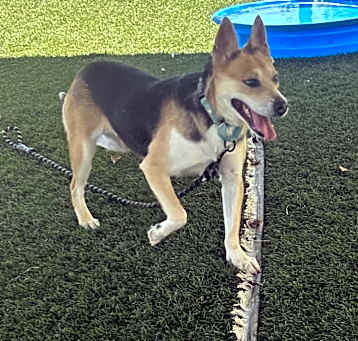 Photo of Wanda