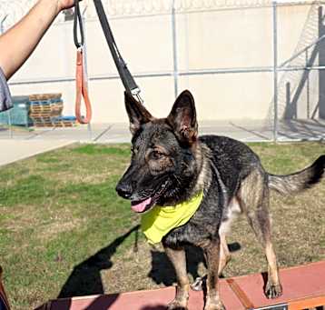 Photo of Hunter