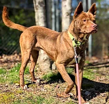 Photo of Asher