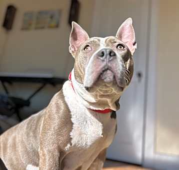 Photo of Lady Jane