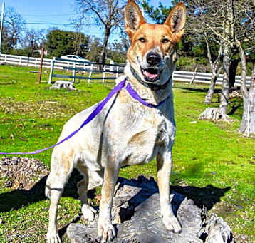 Photo of Kipp