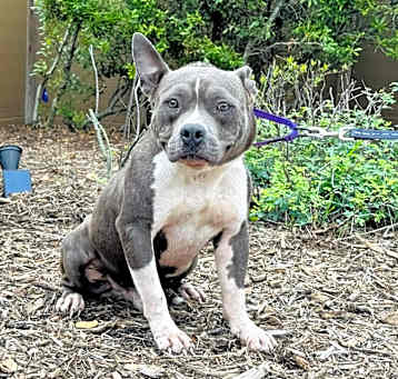 Photo of Reginald