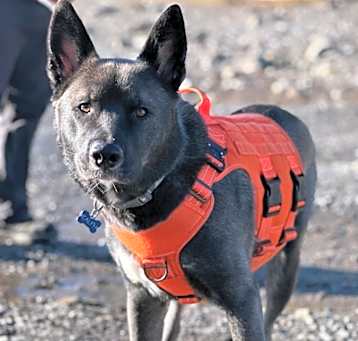 Photo of Ralph