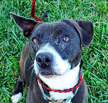 Photo of Daisey