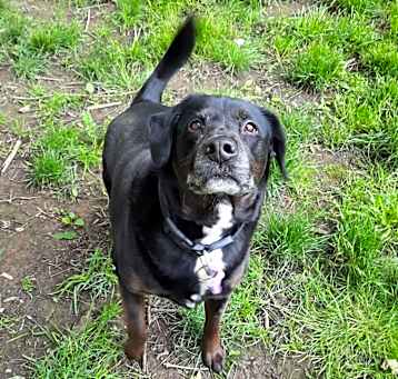 Photo of Scooter