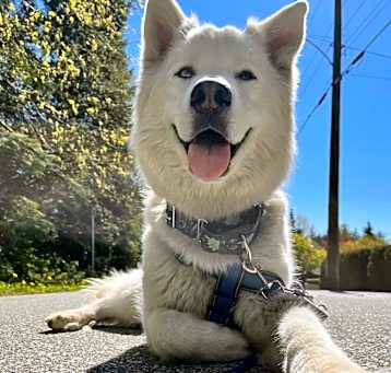 Photo of Steve