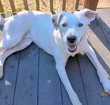Photo of Dudley