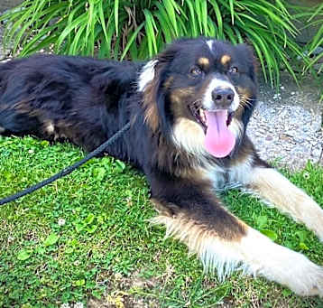 Photo of Yoshi