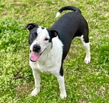 Photo of Dottie