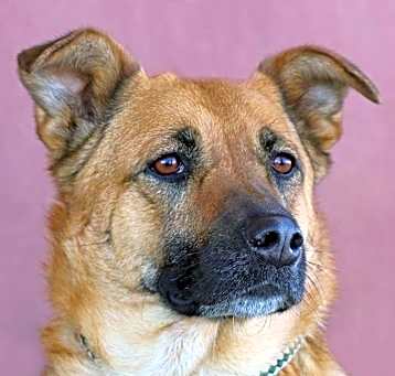 Photo of Beverly