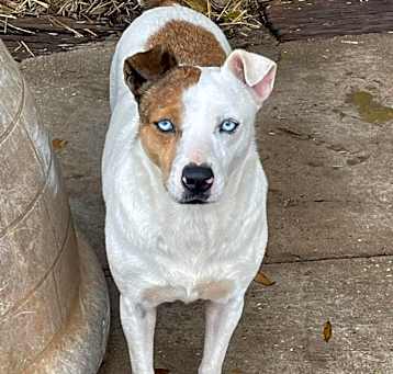 Photo of Ghost