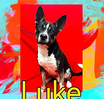Photo of Luke