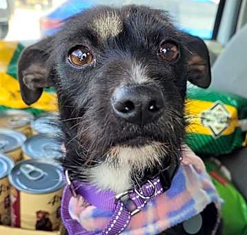 Photo of Frannie