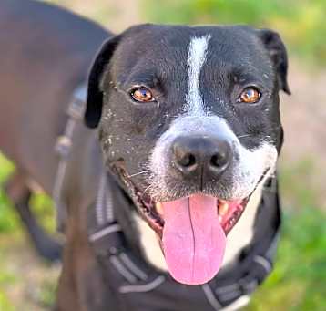 Photo of Hugo
