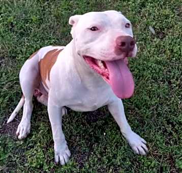 Photo of Knox