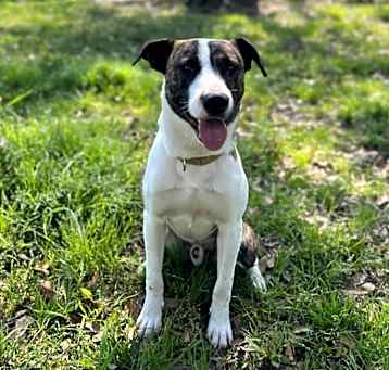 Photo of Emilio aka Miles 