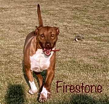 Photo of Firestone