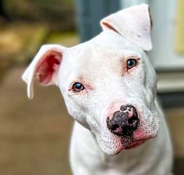 Photo of Pinkie/Billy Jean