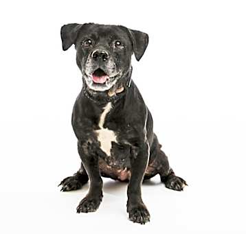Photo of Hati