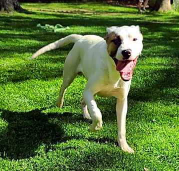 Photo of Tylen