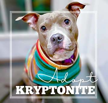 Photo of Kryptonite