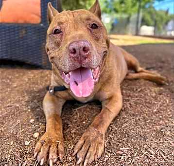 Photo of Cooper