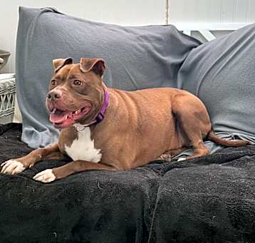 Photo of Betty