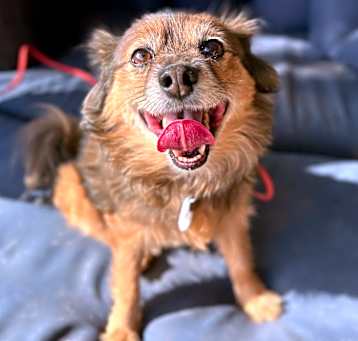 Photo of Melo