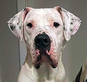 Photo of Fin