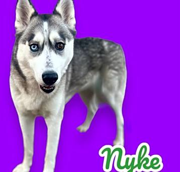 Photo of Nyke