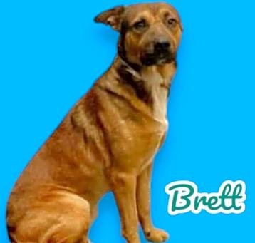 Photo of Brett