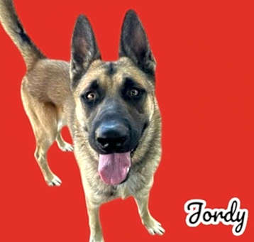 Photo of Jordy