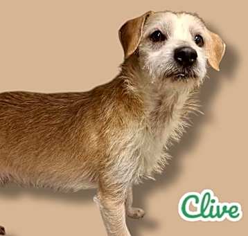 Photo of Clive