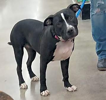 Photo of Diamond