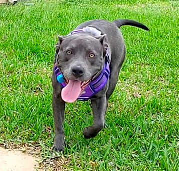 Photo of Candy