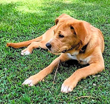 Photo of Sandy
