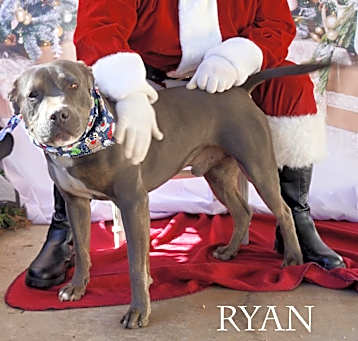 Photo of Ryan