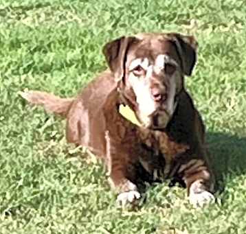 Photo of Mazzy