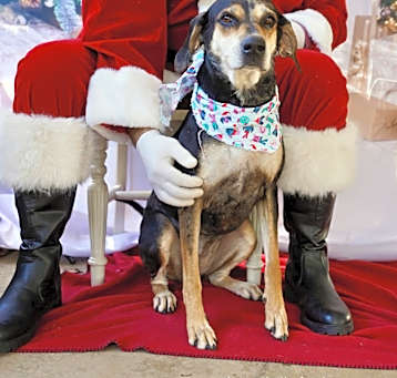 Photo of Sweetie
